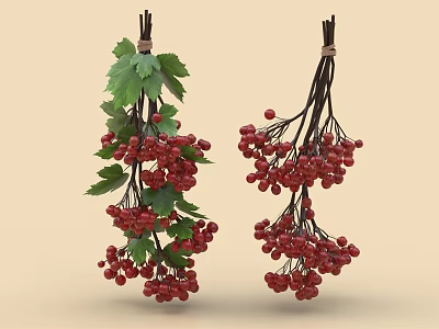 Fresh Red Berries with Green Leaves in Bunch on Beige Background 3d model