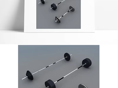Gym Quality Fitness Equipment With Adjustable Barbells And Dumbbells For Workout 3d model