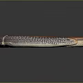 Long Brown Orange Coiled Snake With Ringed Body And Patterned Scales