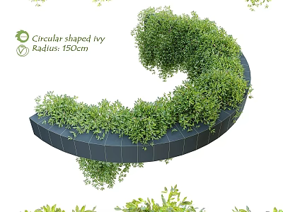 Circular Shaped Ivy Shrub with 150cm Radius and Lush Green Foliage 3d model