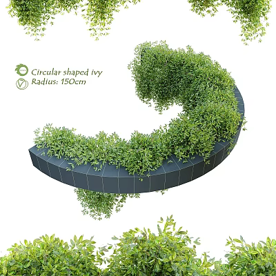 Circular Shaped Ivy Shrub with 150cm Radius and Lush Green Foliage 3d model