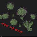 Various Types of Sage Flowers and Plants 3D Models for Garden Landscaping Design
