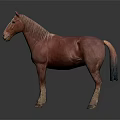 Realistic Brown Horse Figure With White Blaze Standing On Dark Surface