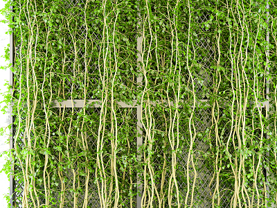 Modern plant wall plant background wall model