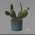 Green Cactus Plant with Prickly Pads in Blue Textured Ceramic Pot Placed on Dark Background