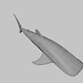 Spotted Black and White Whale Shark Game and Movie Character Marine Creature Design