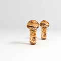 Fresh Wild Mushrooms with Brown Spotted Textured Caps on White Background