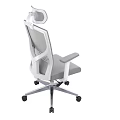 Modern Office Chair With Mesh Back Headrest Armrests And Five Point Base Wheels
