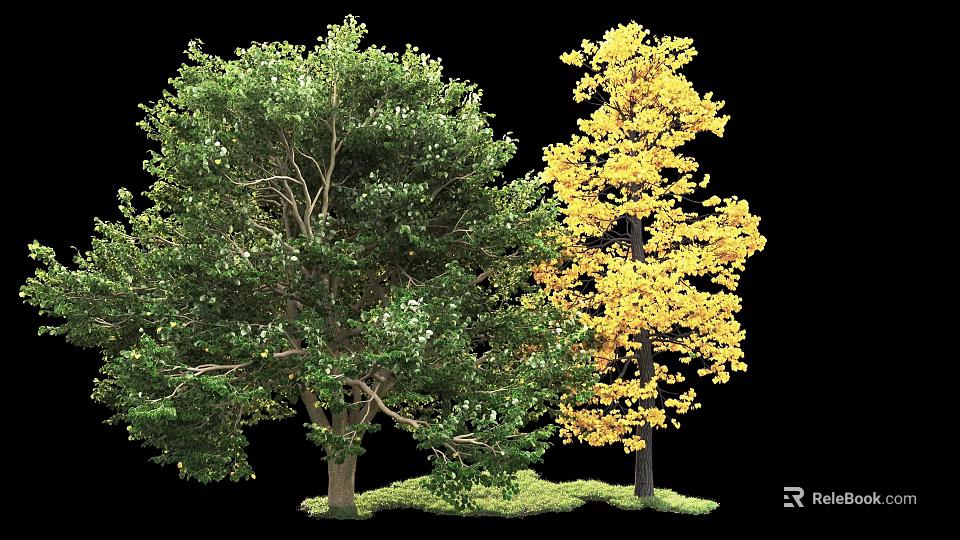 Arbor Trees With Green And Yellow Leaves Growing On Lush Green Grass 3d model 