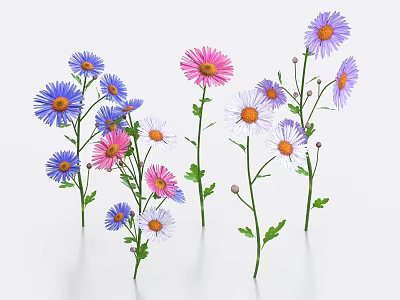 Colorful Chrysanthemums in Purple Pink White with Green Stems and Leaves Arranged Together 3d model