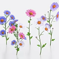 Colorful Chrysanthemums in Purple Pink White with Green Stems and Leaves Arranged Together