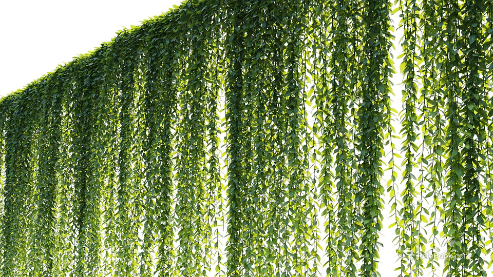 Lush Green Hanging Vines With Dense Foliage For Natural Decorative Purpose 3d model 