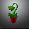 Decorative Green Plant With Curved Stem Red Green Flower And Red Pot