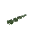 Leafy Green Shrubs in Various Sizes for Garden Landscaping Projects 3d model