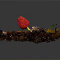 Vibrant Red Berry Standing Out In Autumn Leaf Pile On Natural Forest Floor