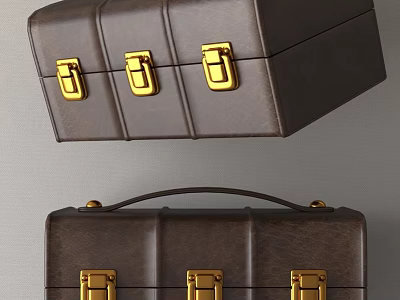 Decorative Ornament Set With Brown Leather Cases Gold Clasps And Handle 3d model