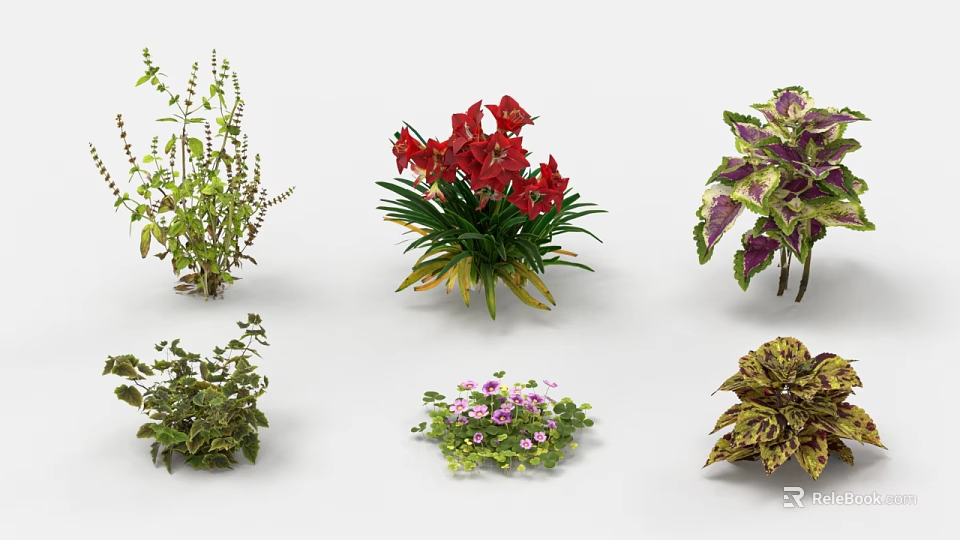 Garden Landscape Design With Colorful Plants Red Flowers And Green Foliage 3d model 