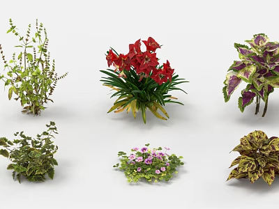 Garden Landscape Design With Colorful Plants Red Flowers And Green Foliage 3d model