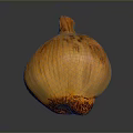 Ripe Yellow Onion With Textured Outer Skin On Dark Reflective Surface
