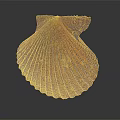 Vibrant Red Brown Marine Scallop Displaying Fan Shaped Shell Textured Surface And Glossy Details