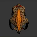 Fierce Standing Hyena Like Creature With Yellow Mane Red Body Long Arms Sharp Claws