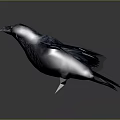 Blue Bird Flying With Spread Wings Against Dark Gray Background 3d model