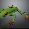 Vibrant Green Frog With Red Eyes And Red Toes On Black Background