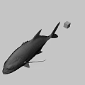 Realistic Fish Model With Floating Colorful Dice In Gray Background