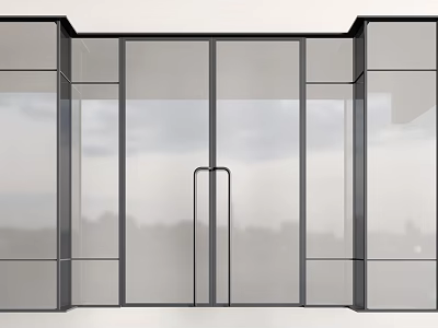 Modern Swing Door Design With Glass Panels And Black Metal Frame For City View 3d model