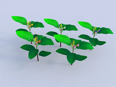Multiple Green Plants With Large Leaves And Small Flowers On Light Blue Background 3d model