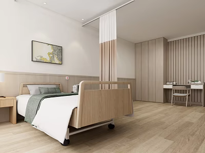 Modern Hospital Room Interior With Wooden Bed Wardrobe Bedside Table And Wall Art 3d model