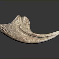 Natural Horn Shaped Household Decorative Item With Textured Surface And Brown Beige Hue