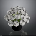 Bouquet of White Roses Arranged in Black Vase Against Gray Background