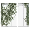Lush Green Vines Climbing White Grid Frame On Interior Wall With Decorative Foliage
