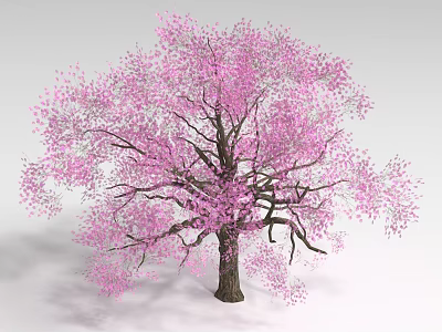 Pink Flowering Shrub With Vibrant Blooms And Brown Stem In Garden 3d model