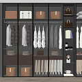Modern Wardrobe Interior Organization With Hanging Rods Drawers Storage Bins And Glass Doors