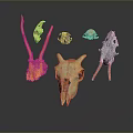Various Colored Animal Skulls In Different Shapes On Dark Background With Reflections