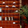 Shelving Units With Red Background Grid Design Tea Sets Books Decorative Items And Green Plant