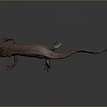Lizard Anime Lizard Chameleon Cartoon Lizard Reptile Cold Blooded Animal Reptile Class 3d model