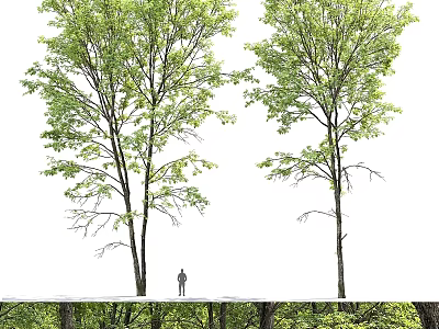 Decorative Ornament Set With Green Tree Figurines Small Human Statue And Foliage Decor 3d model