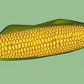 Modern Corn 3d model