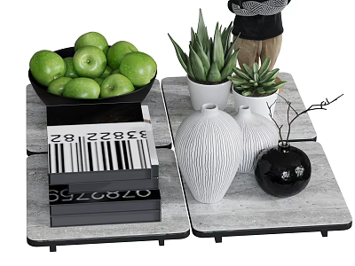 Modern Decorative Ornament Set With Green Apples Succulent Plants White And Black Vases On Trays 3d model