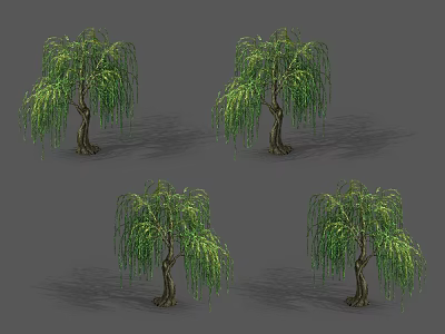 Four Weeping Willow Trees with Green Hanging Branches 3d model