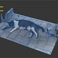 Black and White Cat Lying on Brick Pavement with Broken Cement Edges and Plastic Bottle