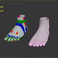 Colored Foot Model With Color Coded Sections And White Anatomical Reference Model 3d model