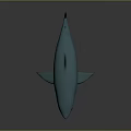 Blue Green Shark 3D Model With White Underbelly And Fins On Gray Surface