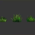 Various Green Grass Clusters in Different Forms on Gray Background with Reflections 3d model