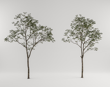 Modern Tree Landscape Tree 3d model