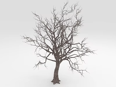 Tall Leafless Tree with Thick Trunk and Twisted Branches on White Background 3d model