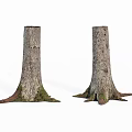 Natural Stone Wood Tree Trunks With Thick Bark Texture And Mossy Roots 3d model